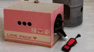 MGS-Cat.jpg
