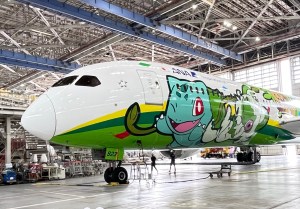 PokemonPlane-Large.jpeg