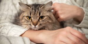 AdobeStock_551902166.jpg