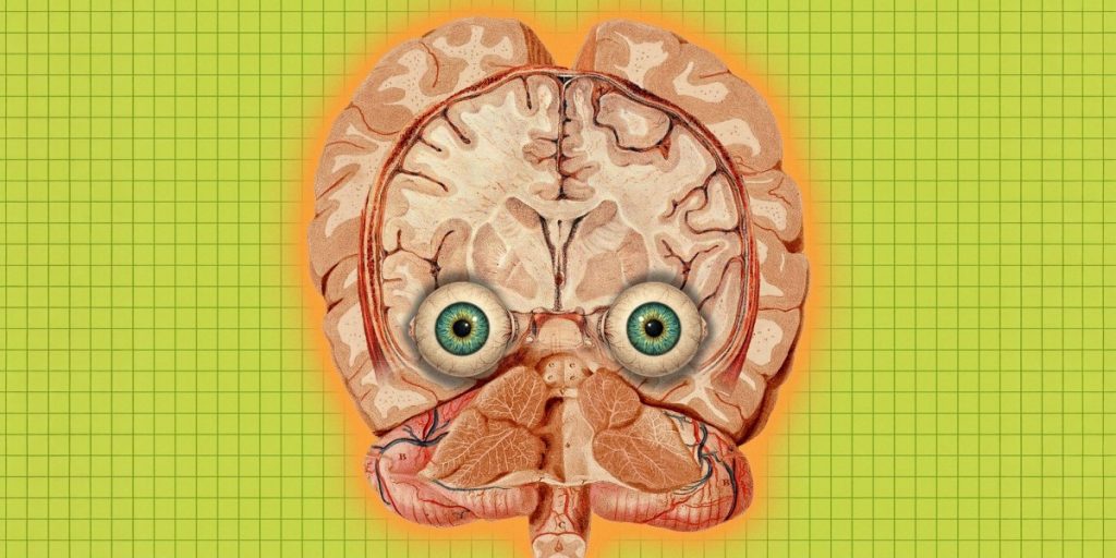 eye-brains.jpg
