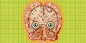 eye-brains.jpg