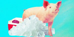 pig-freeze.jpg